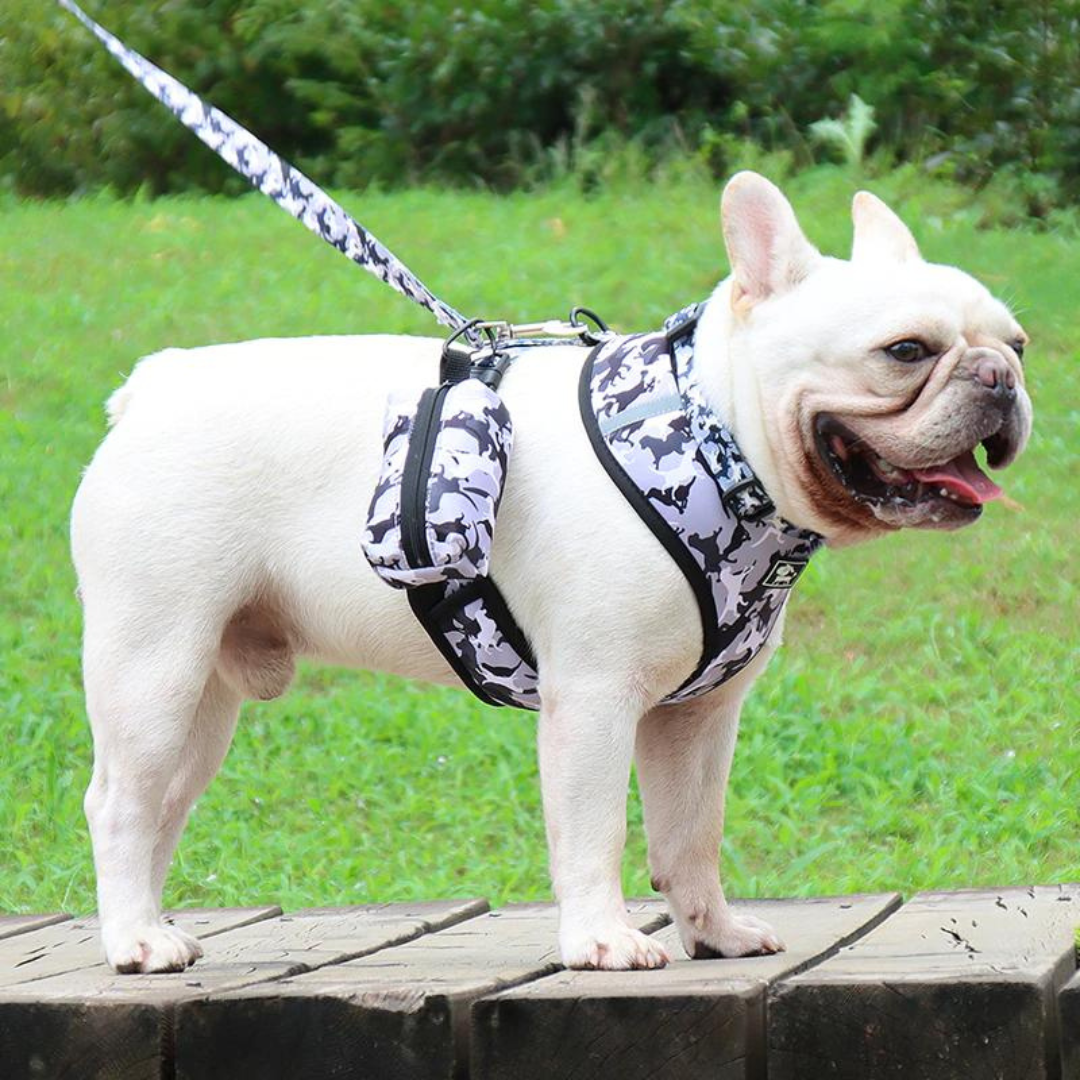 FurBuddy™ Dog Harness Walking Kit